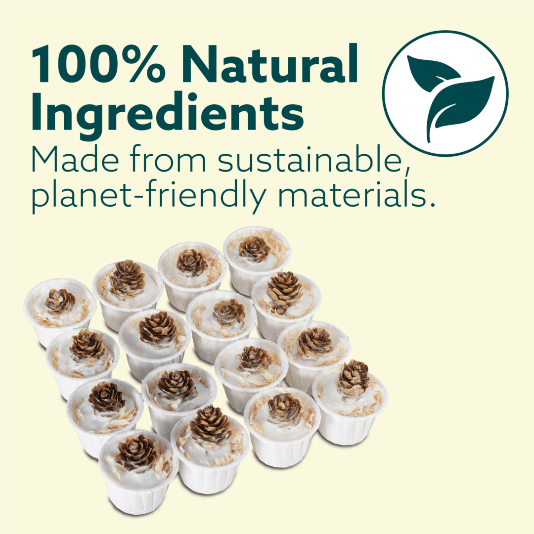 Make Your Own Firelighter DIY Kit - Eco-Friendly Craft Fun for All Ages