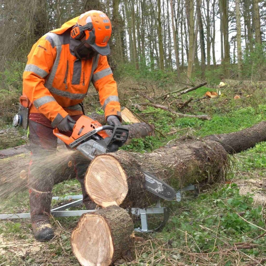 Heavy Duty Timber Jack and Log Saw Horse (2-IN-1) - FMLL