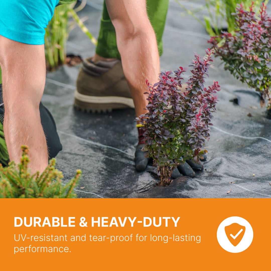 Heavy Duty Weed Control Membrane - Ultimate Solution for a Weed-Free Garden (Various Sizes)