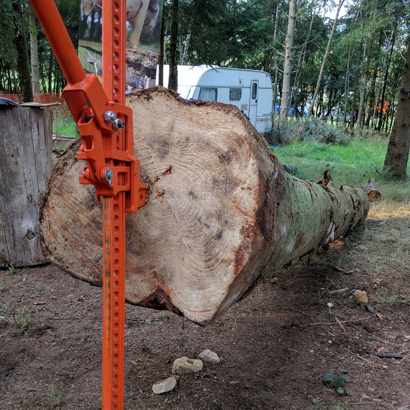 Timberjack Log Lifter Made in the USA Logging Felling Forestry Sawmills