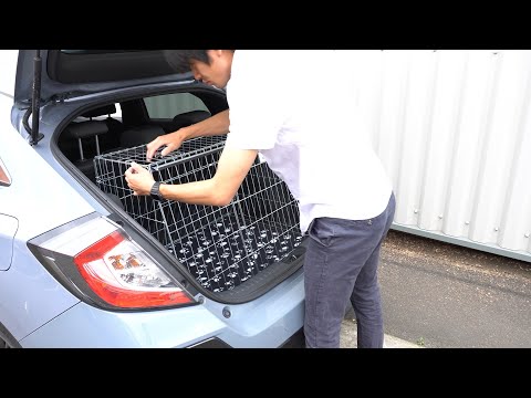 How to Choose and Install a Dog Crate for Your Hatchback Car