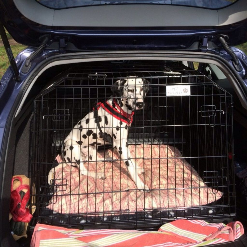 Dog Car Cages Sort by Car Pet Accessories Arrows UK