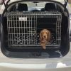 Nissan Juke, Car Dog Cage, Travel Crate for Pets