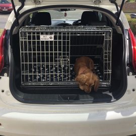 Nissan Juke Dog Cage