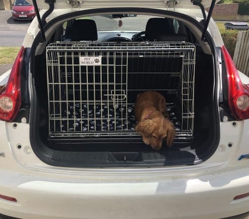Nissan Juke Dog Cage