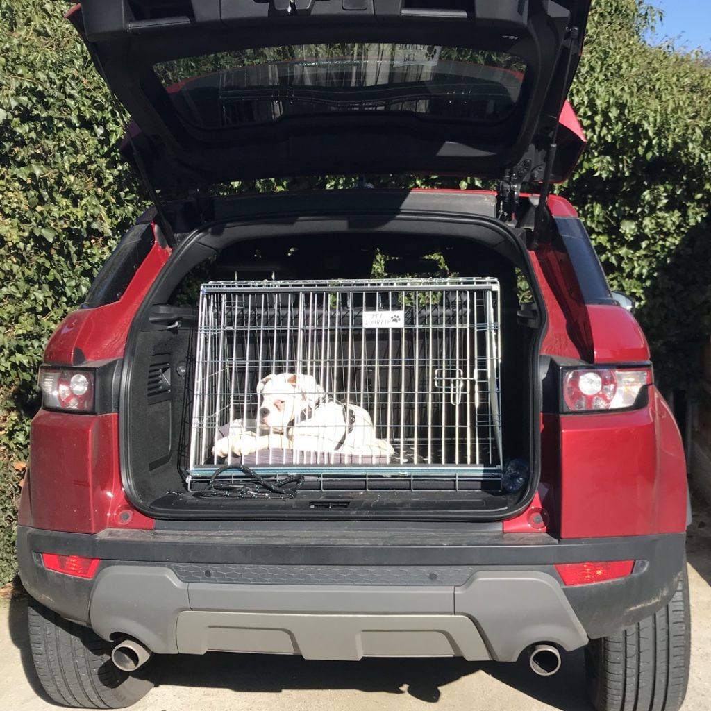 Pet World Range Rover Evoque 2011 2018 Car Dog Cage Crate Pet Travel