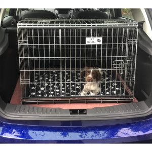kuga dog crate