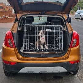 Vauxhall Mokka 2017 Car Dog Crate