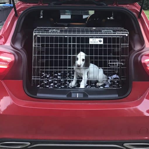 Double PET WORLD MERCEDES ML 250 Dog Puppy Pet sloped Car travel training carrier crate cage, 