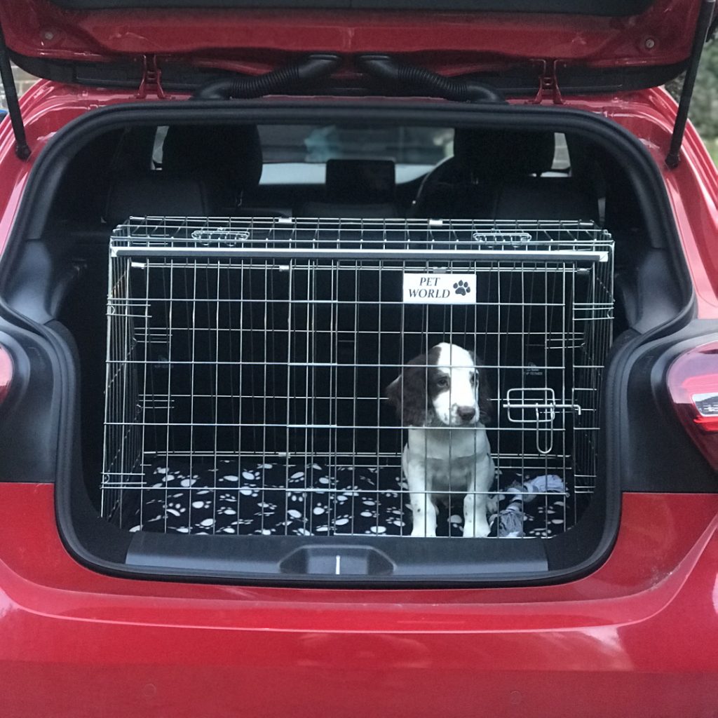 Pet World Car Dog Cage Travel Crate Mercedes AClass 20132018