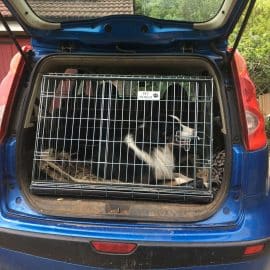 nissan note, car dog cage, pet travel crate