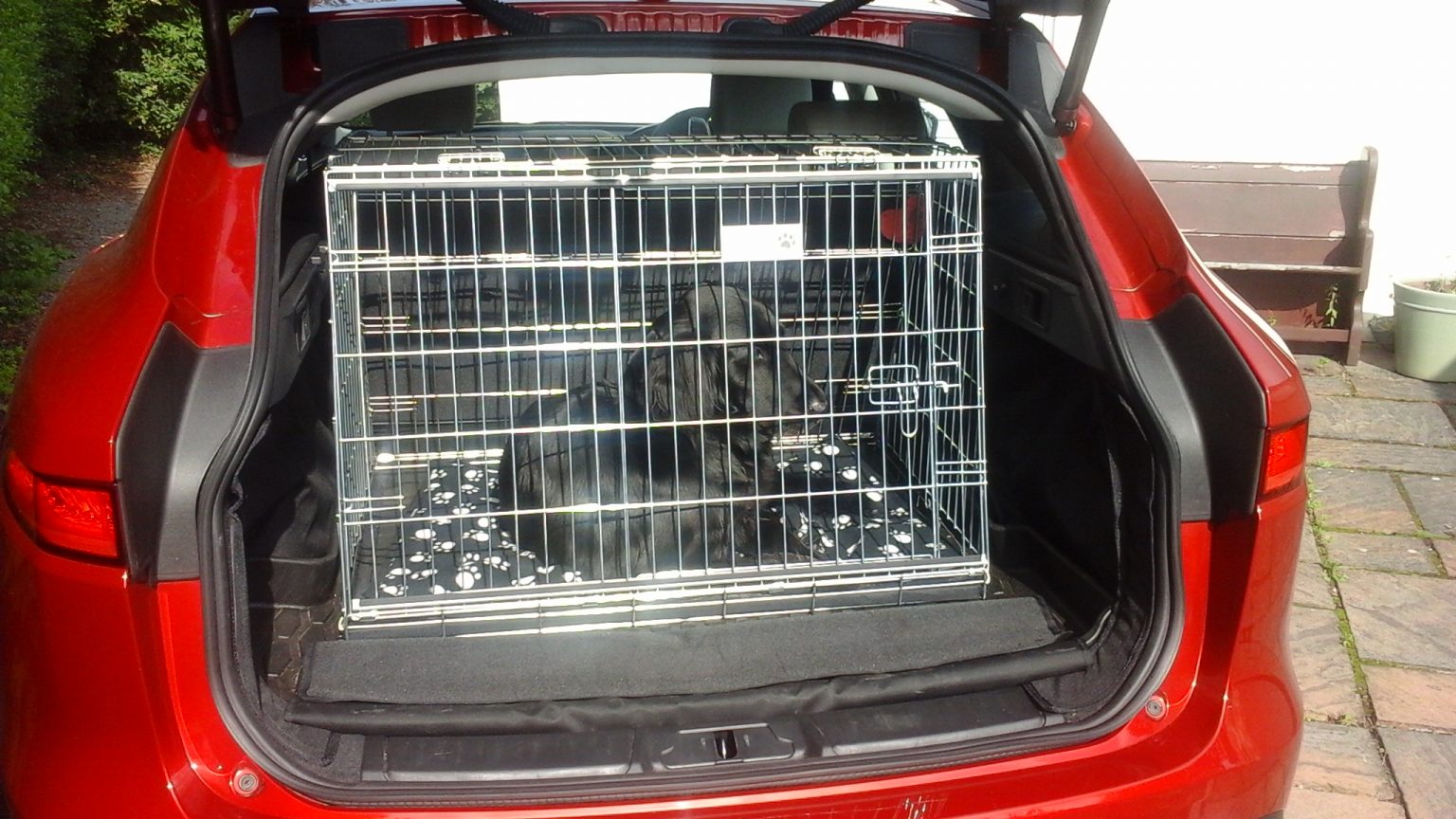 Pet World Car Dog Crate Jaguar F Pace Pet Carrier Travel Crate