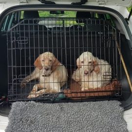 Hyundai Tucson, Car Dog Cage, Pet Travel Crate