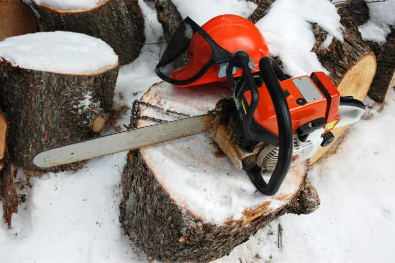 chainsaw frozen wood, protective gear, snow, logs