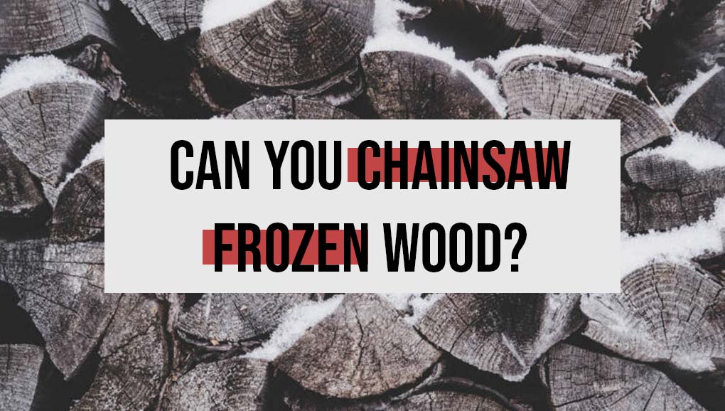 can you chainsaw frozen wood, snow logs