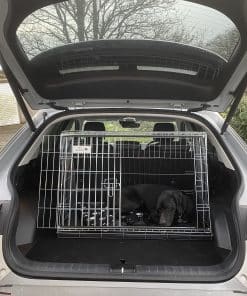 Hyundai Ioniq 5 project 45 car dog crate