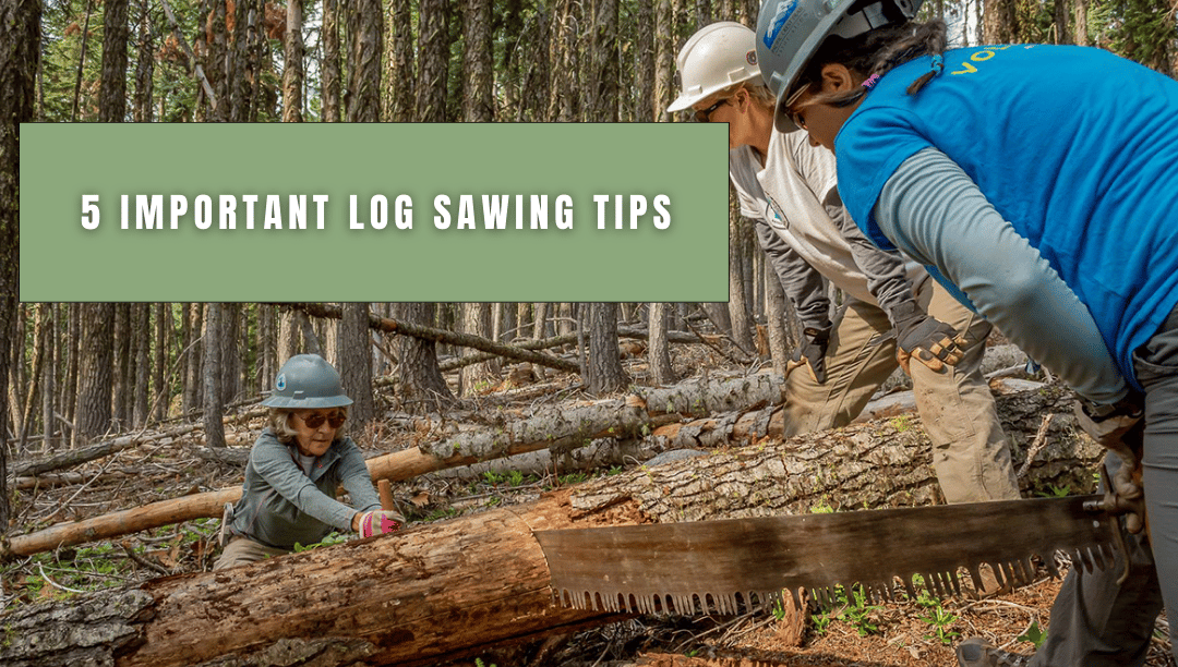 5 important log sawing tips