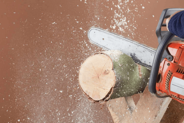 Chainsaw sawing a log