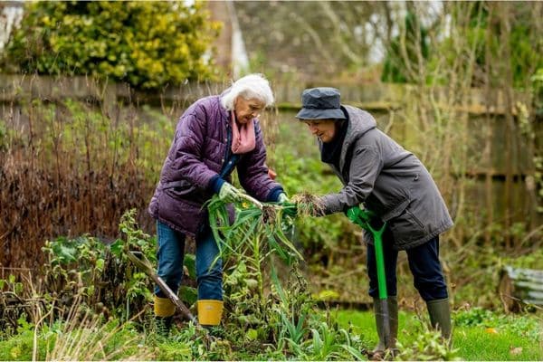 self-sufficient gardening, growing vegetables, planting