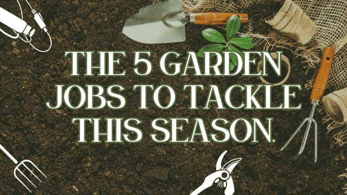 A image of text surrounded by vegetables and tools for garden jobs