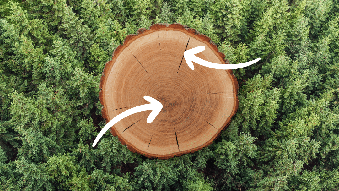 where to split wood, outside wood vs center of wood