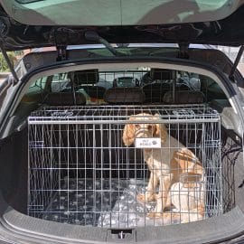 Vauxhall Astra GTC 2017 car crate for dogs