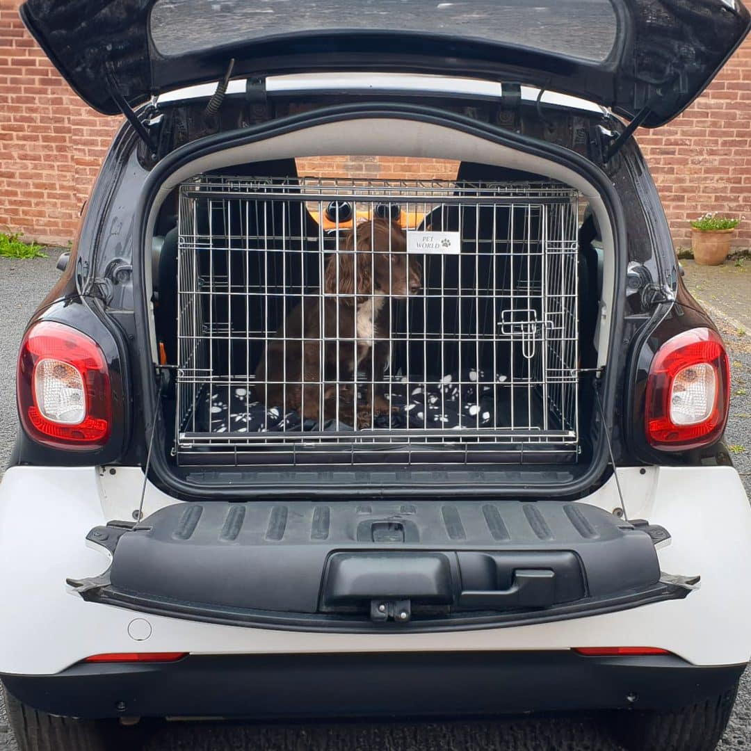 Smart Four2 Passion 2016 car dog crate