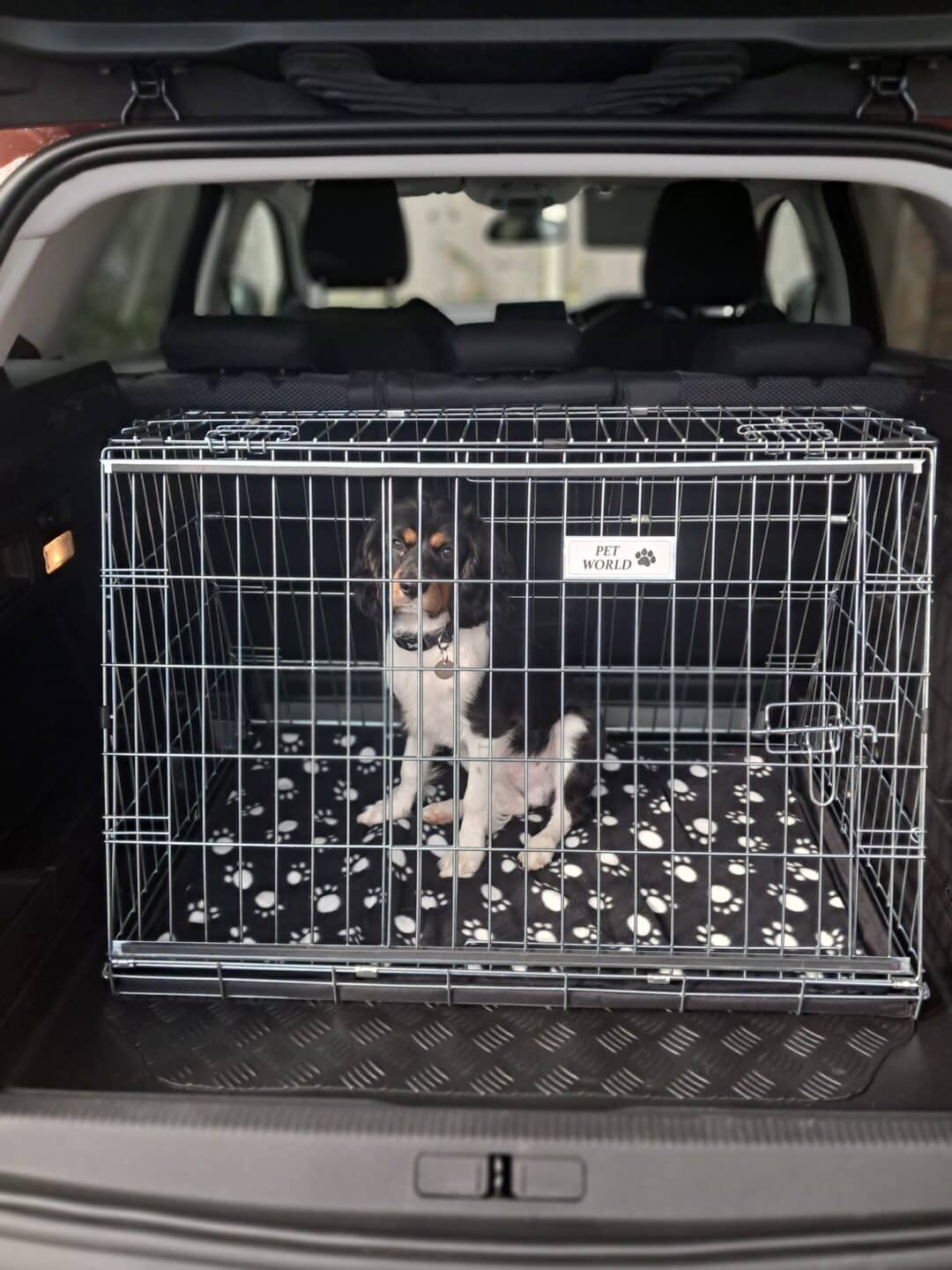 Pet World Peugeot 3008 - 2019 Onwards Car Dog Cage Hatchback - Image 2