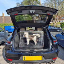 Pet World Car Dog Cage Crate - Porsche Macan S - 2020 Pet Carrier Travel Crate
