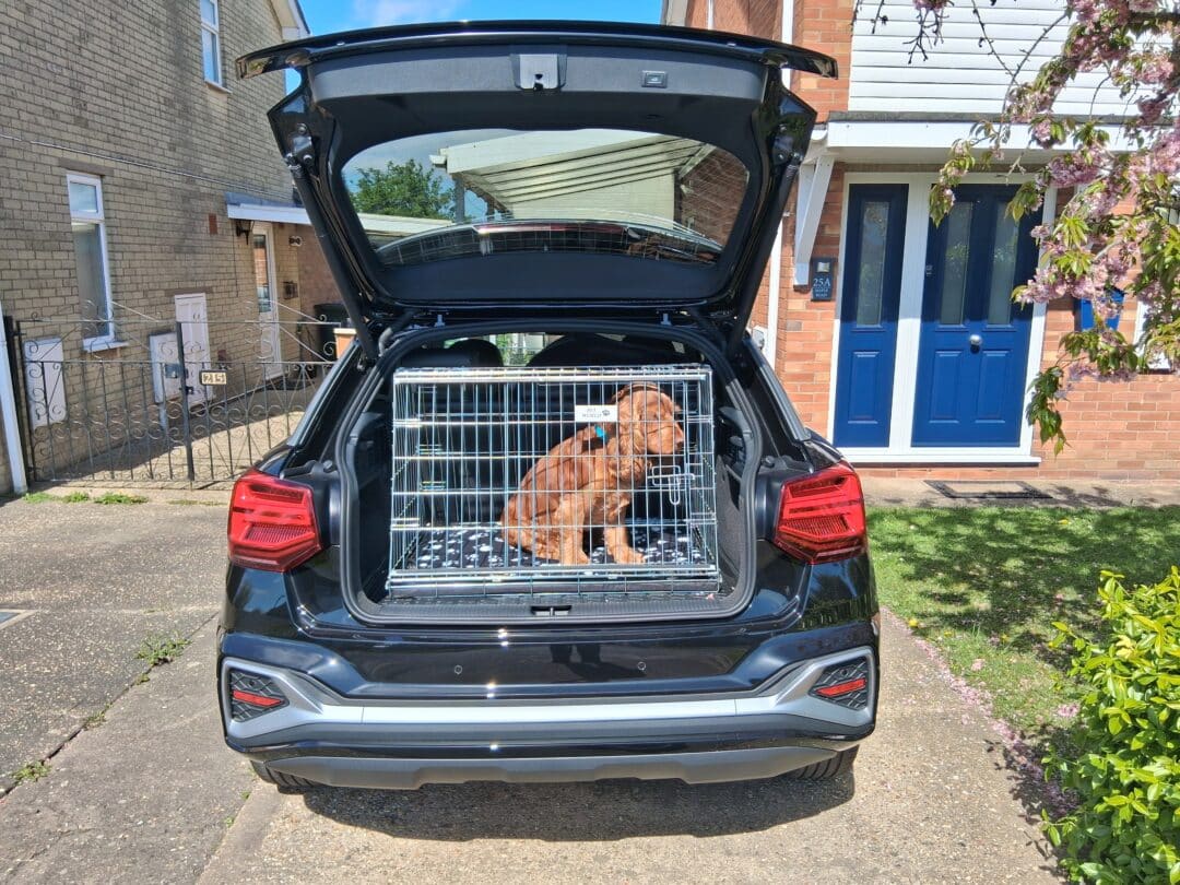 Pet World Car Dog Cage Crate - AUDI Q2 2025 Onwards - Image 2