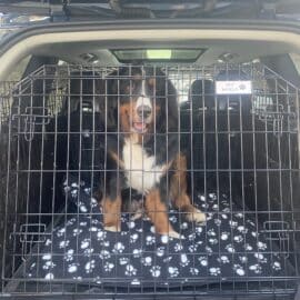 dog cage, travel crate, pet cage volvo xc40