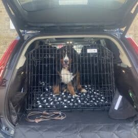 dog cage, travel crate, pet cage volvo xc40