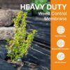 Heavy Duty Weed Control Membrane - Ultimate Solution for a Weed-Free Garden (Various Sizes)