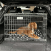Cage pour chien Pet World Car - Nissan Juke 2021 et modèles ultérieurs