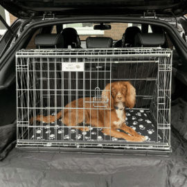 Pet World Car Dog Cage Puppy Crate Carrier - Nissan Juke 2021 Onwards