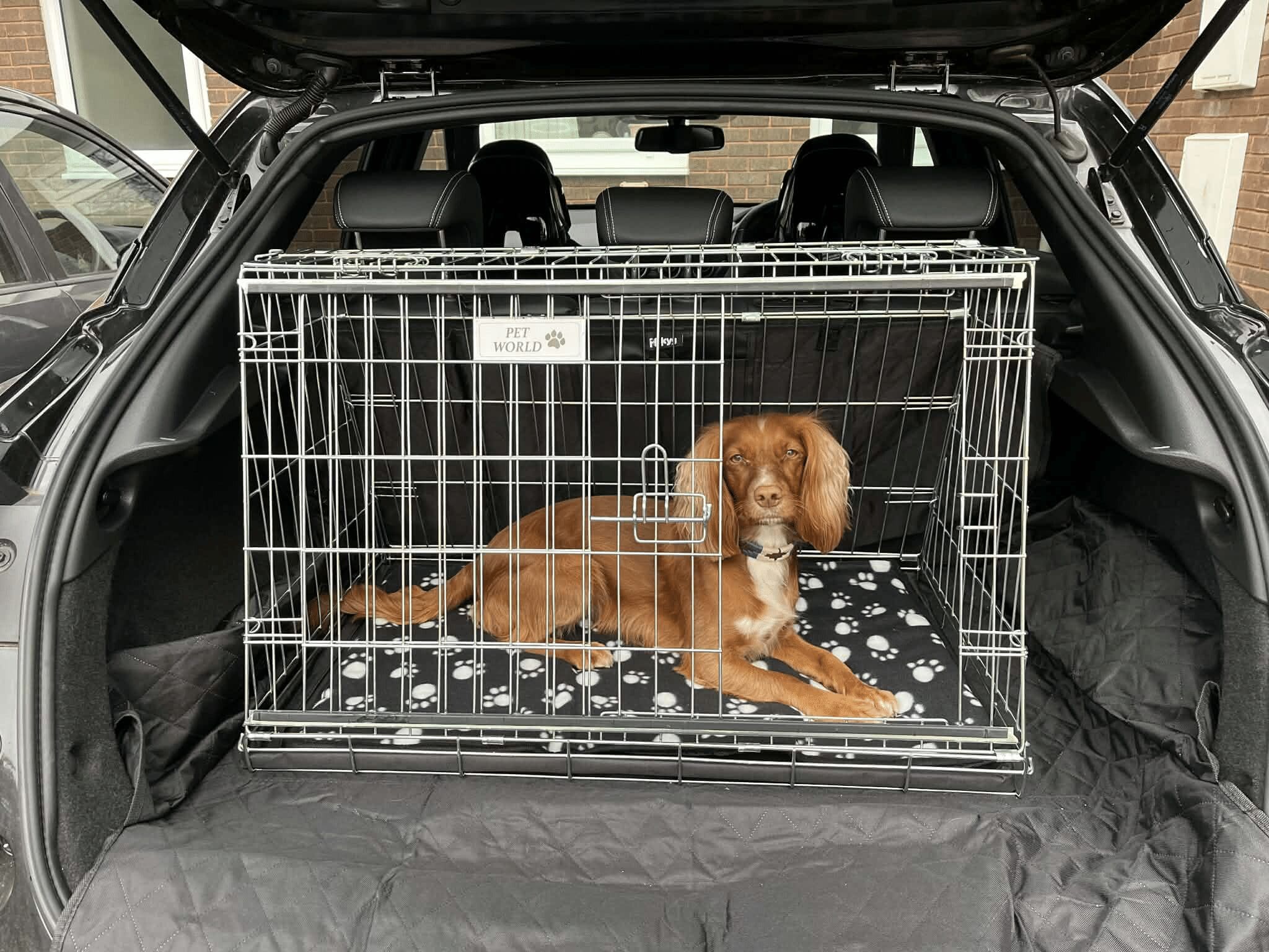 〝Dog cage〟All stainless 【在庫❷】　　　売約済 Pet World Car Dog Cage Puppy Crate Carrier - Nissan Juke 2021